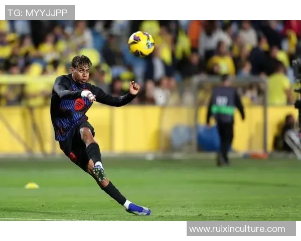 足球后卫历史排名揭秘球场明星的荣耀与传奇之路