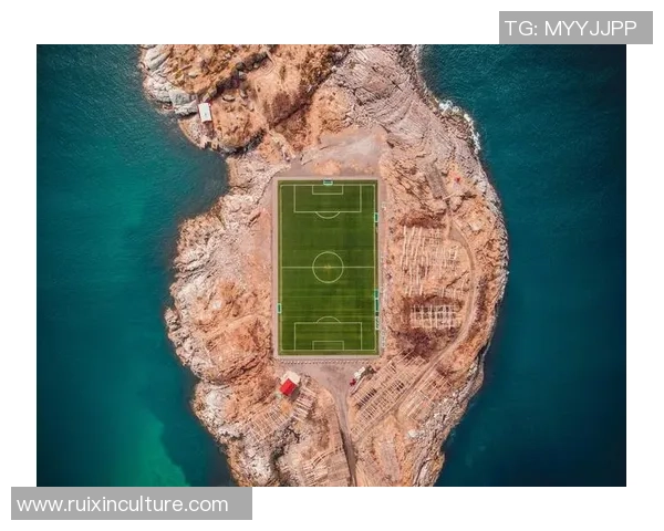 趣话足球：从绿茵场上的传奇到球迷心中的热爱与梦想