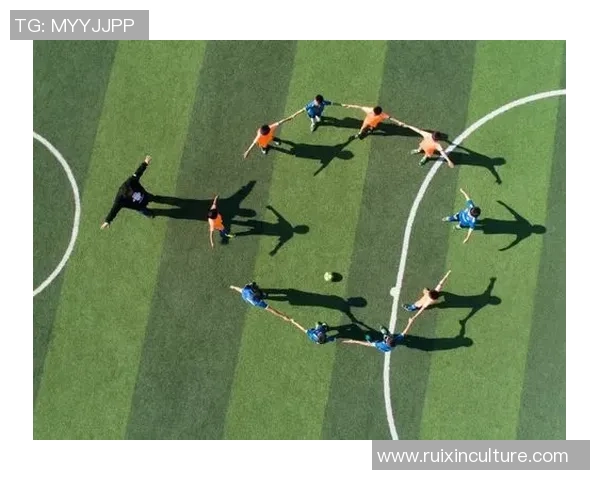 足球大小鸟的奇妙旅程探索绿茵场上的小生灵与足球的奇缘