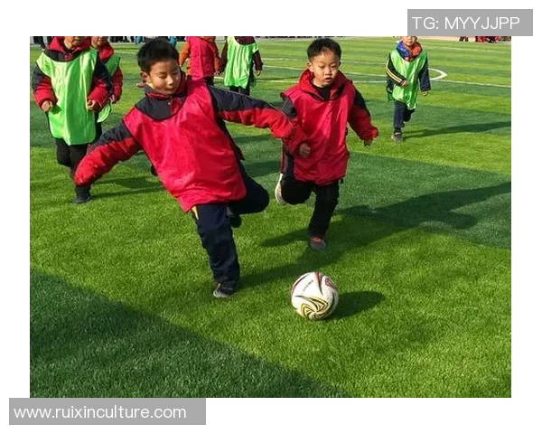 足球范云：探索足球世界的魅力与激情，解读赛场背后的故事与梦想