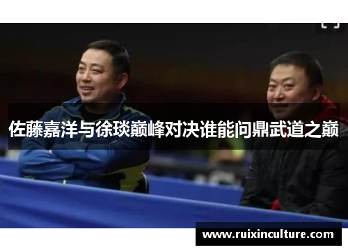 佐藤嘉洋与徐琰巅峰对决谁能问鼎武道之巅