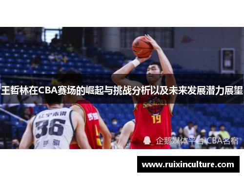 王哲林在CBA赛场的崛起与挑战分析以及未来发展潜力展望